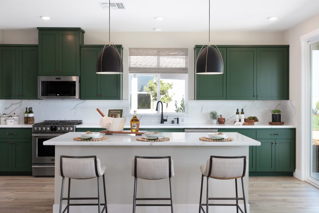 Euro-Americano | Shaker Door | Evergreen